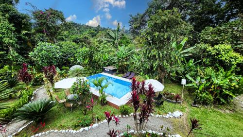 a swimming pool in a garden with plants and trees at Mindo Green House in Mindo