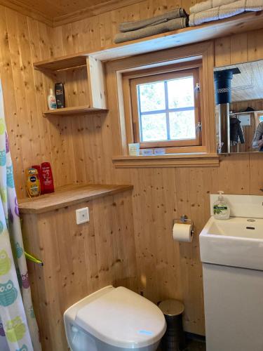 a bathroom with a toilet and a sink and a window at Cabin in Tydal, enjoy! in Tydal