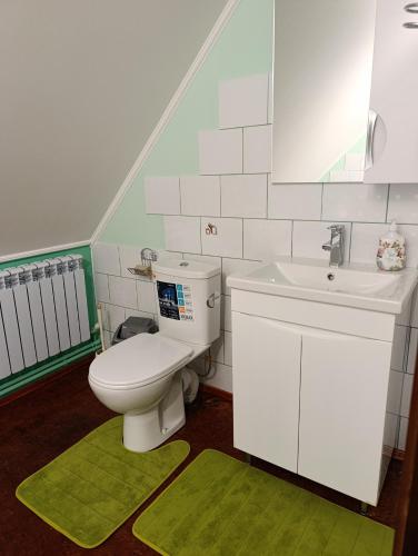 a bathroom with a toilet and a sink at Фазенда in Bohuslav