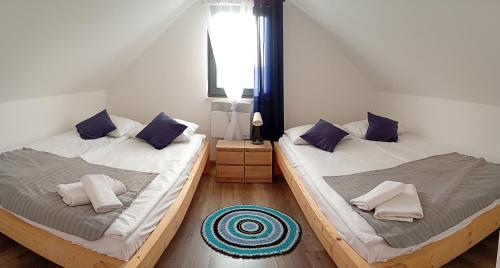 two twin beds in a room with a window at Noclegi u Nikoli in Wola Wereszczyńska