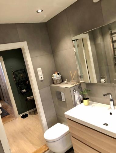 a bathroom with a toilet and a sink and a mirror at Apartment with a view at Tonsenhagen in Oslo