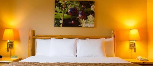 a bedroom with a bed with two lamps and a painting at Cranberry Country Lodge in Tomah