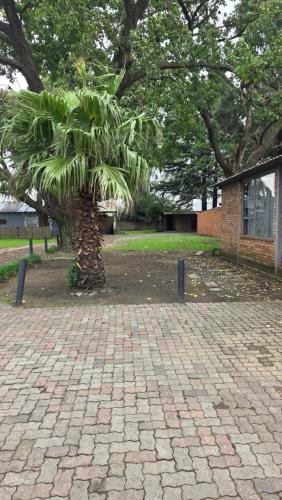 a palm tree in the middle of a brick road at Morgenzon Lodge in Morgenzon
