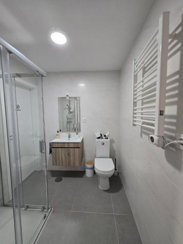 a bathroom with a toilet and a sink and a shower at Suzi's Garden Aveiro in Aveiro