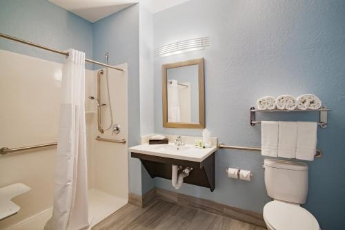 ein Bad mit einem Waschbecken, einem WC und einer Dusche in der Unterkunft Iris Garden Inn in Savannah