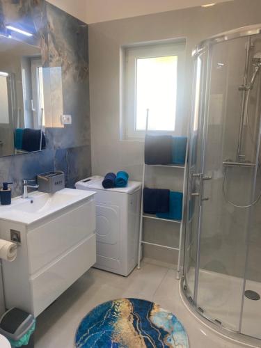 a bathroom with a shower and a toilet and a sink at Villa Ante Blace in Blace