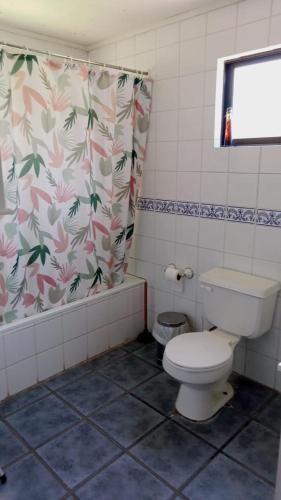 a bathroom with a toilet and a shower curtain at Chalet yuris in Melipilla