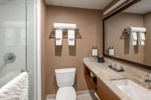 a bathroom with a toilet and a sink and a shower at Distrikt Hotel New York City, Tapestry Collection by Hilton in New York
