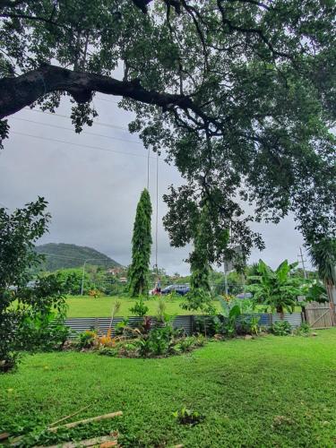 Gallery image of Hidden Garden in Cannonvale