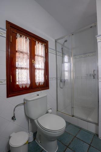 a bathroom with a toilet and a shower at El Cañaveral – Casa Rural con Terraza San Mateo in Vega de San Mateo