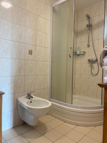 a bathroom with a sink and a shower at Apartments Mali Raj in Dolenci