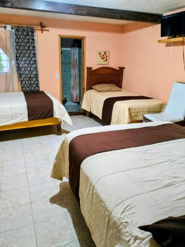 a hotel room with two beds and a television at BONITO y AMPLIO DEPARTAMENTO con JARDÍN "EL PARAÍSO DE ZACATLÁN" in Zacatlán