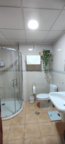 a bathroom with a shower and a toilet and a sink at Apartamento Acogedor con Mucha Luz in Brenes
