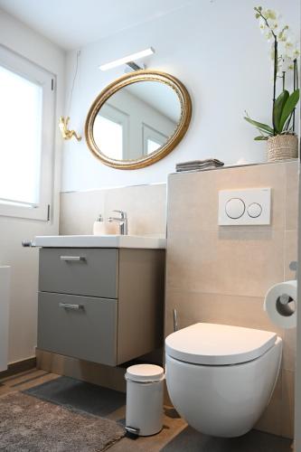 a bathroom with a toilet and a mirror at Villa Hortensie in Aachen