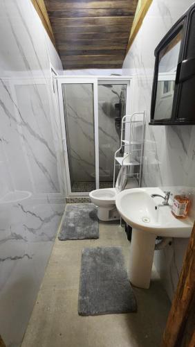 a bathroom with a sink and a toilet at Bunkhouse Lodge in Omoa