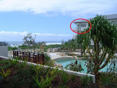 a house with a tree in front of a pool at Salt Beach Resort Suites by Kingscliff Accommodation in Kingscliff