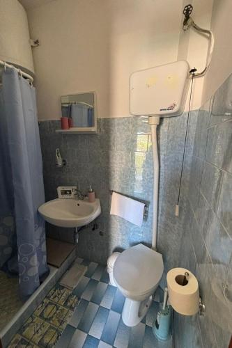 a bathroom with a toilet and a sink at Apartments with parking space Vis - 2436 in Vis