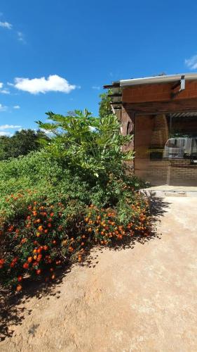 a bush filled with oranges in front of a building at Camping e Pouso Recanto das Flores in Tiradentes