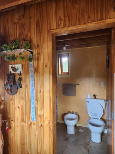 ein Badezimmer mit einer Toilette in einer Holzwand in der Unterkunft Los Trevelinos in Trevelín