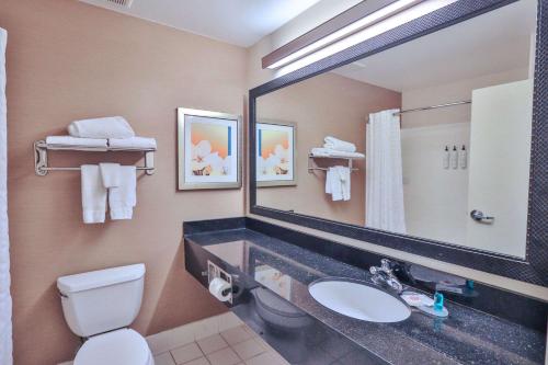a bathroom with a sink and a toilet and a mirror at Comfort Inn & Suites Houston North - Spring in Houston