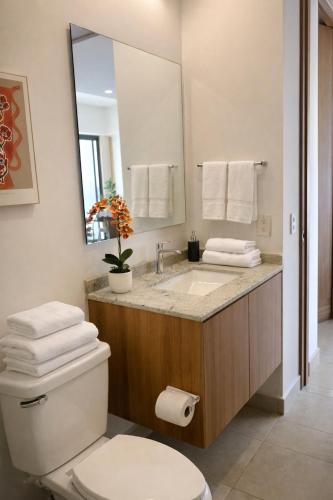 a bathroom with a toilet and a sink with a mirror at Depto nuevo de lujo en PB|Terraza con jacuzzi |Gym in Guadalajara