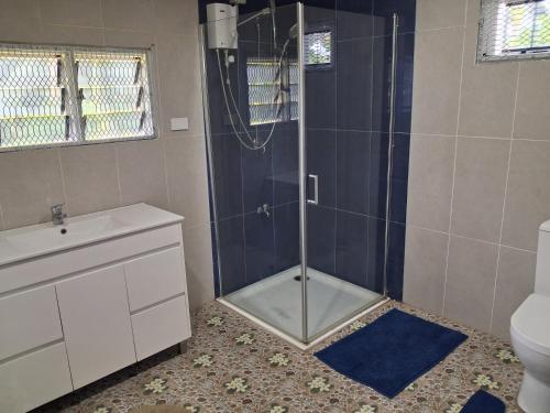 a bathroom with a shower with a sink and a toilet at Apianas BnB in Suva