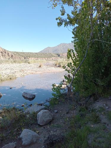 a river with rocks and a tree on the side at Posada del Río 2 in Ciudad Lujan de Cuyo