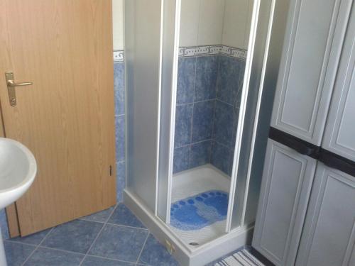 y baño con ducha y puerta de cristal. en Apartment David, en Kavran