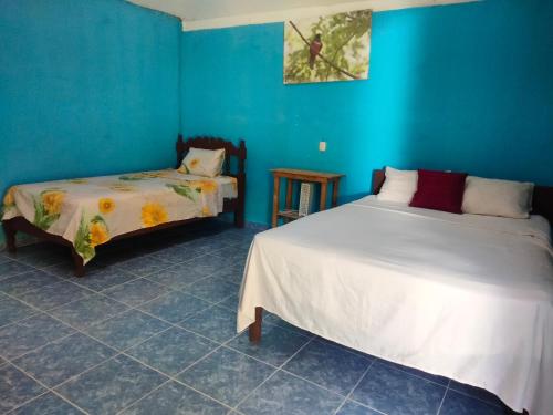 two beds in a room with blue walls at koten Naj Cabanas in Xpujil