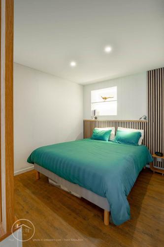 a bedroom with a large bed with blue pillows at Studio neuf et moderne centre historique in Chambéry