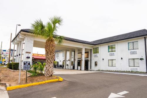 a palm tree in front of a building with a parking lot at Rodeway Inn Clearwater - Central in Clearwater