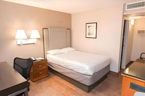 a small hotel room with a bed and a desk at Econo Lodge Inn & Suites Yuma in Yuma