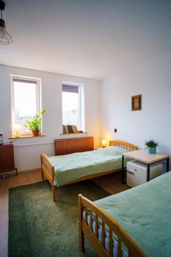 a bedroom with two beds and two windows at Lumiere Studio 2 in Sfântu-Gheorghe