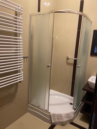 a shower with a glass door in a bathroom at Hotel Altamira in Piotrków Trybunalski