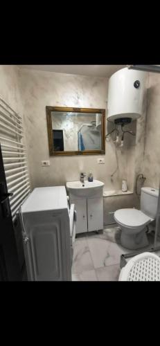 a bathroom with a sink and a toilet and a mirror at Studio roberto in Piatra Neamţ