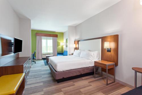 Habitación de hotel con cama y TV de pantalla plana. en Holiday Inn Express & Suites Houston S - Medical Ctr Area, an IHG Hotel, en Houston