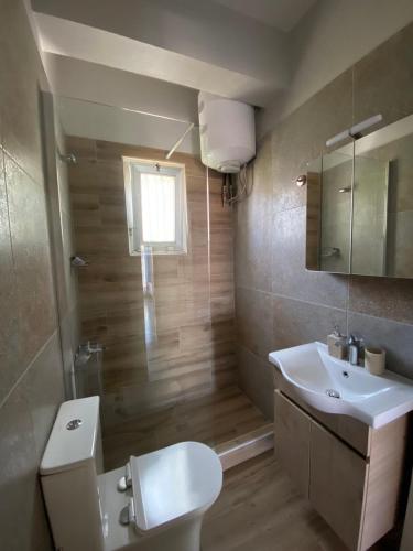 a bathroom with a white toilet and a sink at Studio Mytzela in Amaliapoli