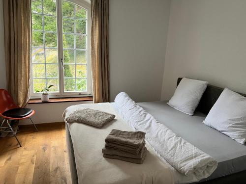 a bed in a room with a large window at Studio im Naturschutzgebiet in Spreitenbach
