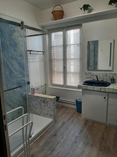 un bagno con doccia e lavandino di L'Appartement a Valence-dʼAgen