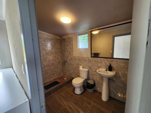 a bathroom with a toilet and a sink and a mirror at Cabañas Kai Rau Tu in Hanga Roa