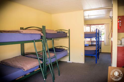 a room with several bunk beds in it at Southern Laughter Backpackers in Queenstown