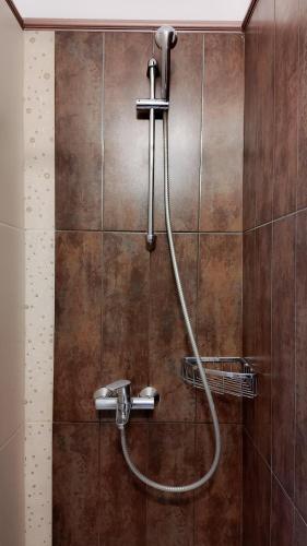 a shower with a hose in a bathroom at Alsos House in Kalabaka