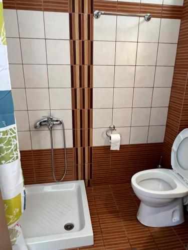 a bathroom with a toilet and a shower in it at Studios-Heaven in Chrysi Ammoudia