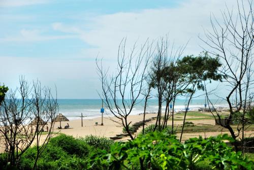 Lanskap alam di dekat hotel