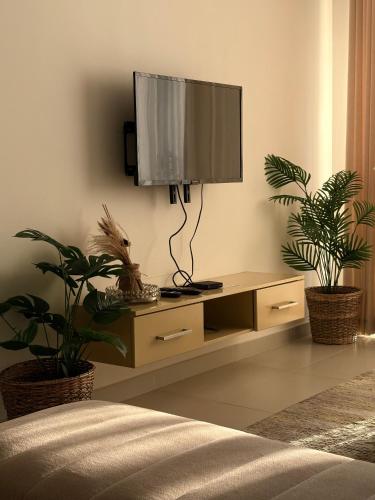 a living room with a tv and two plants at Beach Front Escape in Wattala