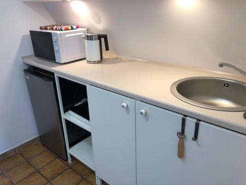 a bathroom counter with a sink and a microwave at Ferienhaus Plöwen MV in Plöwen