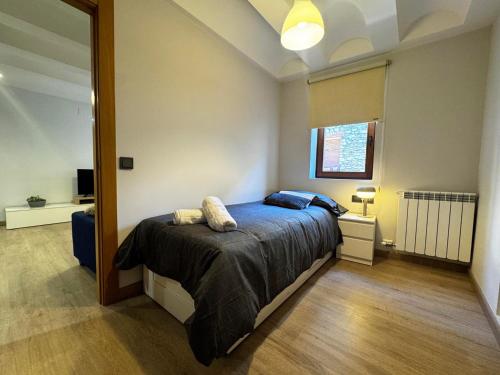 a bedroom with a bed and a large mirror at Villmor - B39 - Rabason in Benasque
