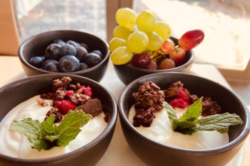 four bowls of yogurt with berries and nuts and fruits at Glamping Nad Meandry in Unhošť