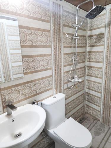a bathroom with a toilet and a sink and a shower at New Day Hostel in Yerevan