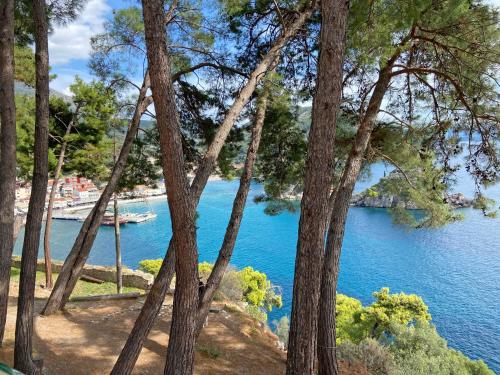 Two Houses Parga